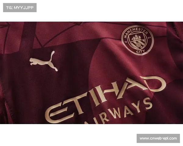 曼城发布新款队徽印花训练服